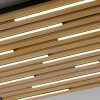 Paul Neuhaus Q-Akustik Wand- und Deckenleuchte LED Braun, Schwarz, 1-flammig, Fernbedienung
