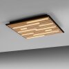 Paul Neuhaus Q-Akustik Wand- und Deckenleuchte LED Braun, Schwarz, 1-flammig, Fernbedienung