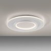Paul Neuhaus Q-Kalina Deckenleuchte LED Weiß, 1-flammig, Fernbedienung
