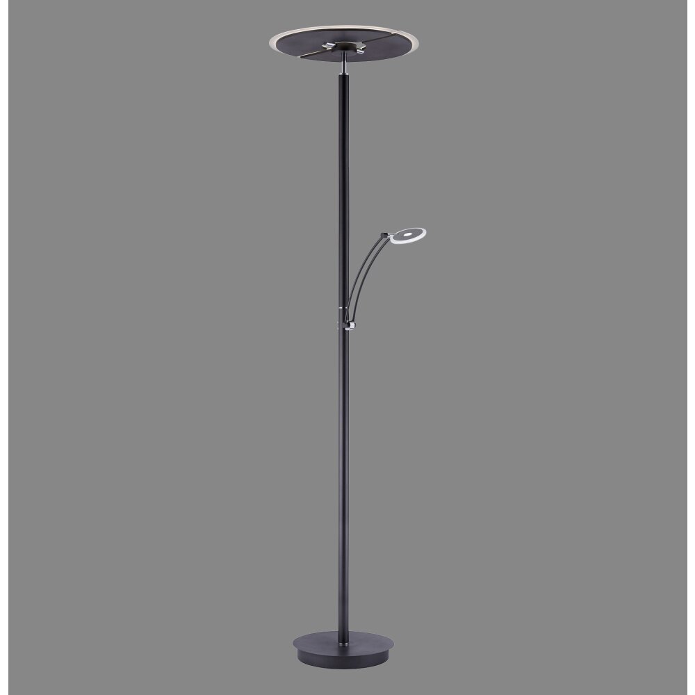 Paul Neuhaus Artur Stehleuchte LED Anthrazit, 2-flammig main product photo