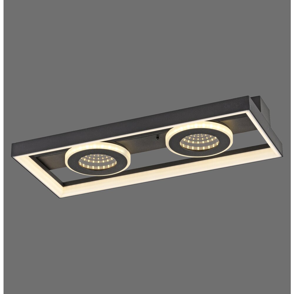 Paul Neuhaus Traforo Deckenleuchte LED Schwarz, 1-flammig, Fernbedienung main product photo