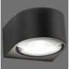 Paul Neuhaus Carla Wandleuchte LED Anthrazit, 2-flammig