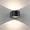 Paul Neuhaus Carla Wandleuchte LED Anthrazit, 2-flammig