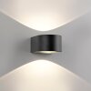Paul Neuhaus Carla Wandleuchte LED Anthrazit, 2-flammig