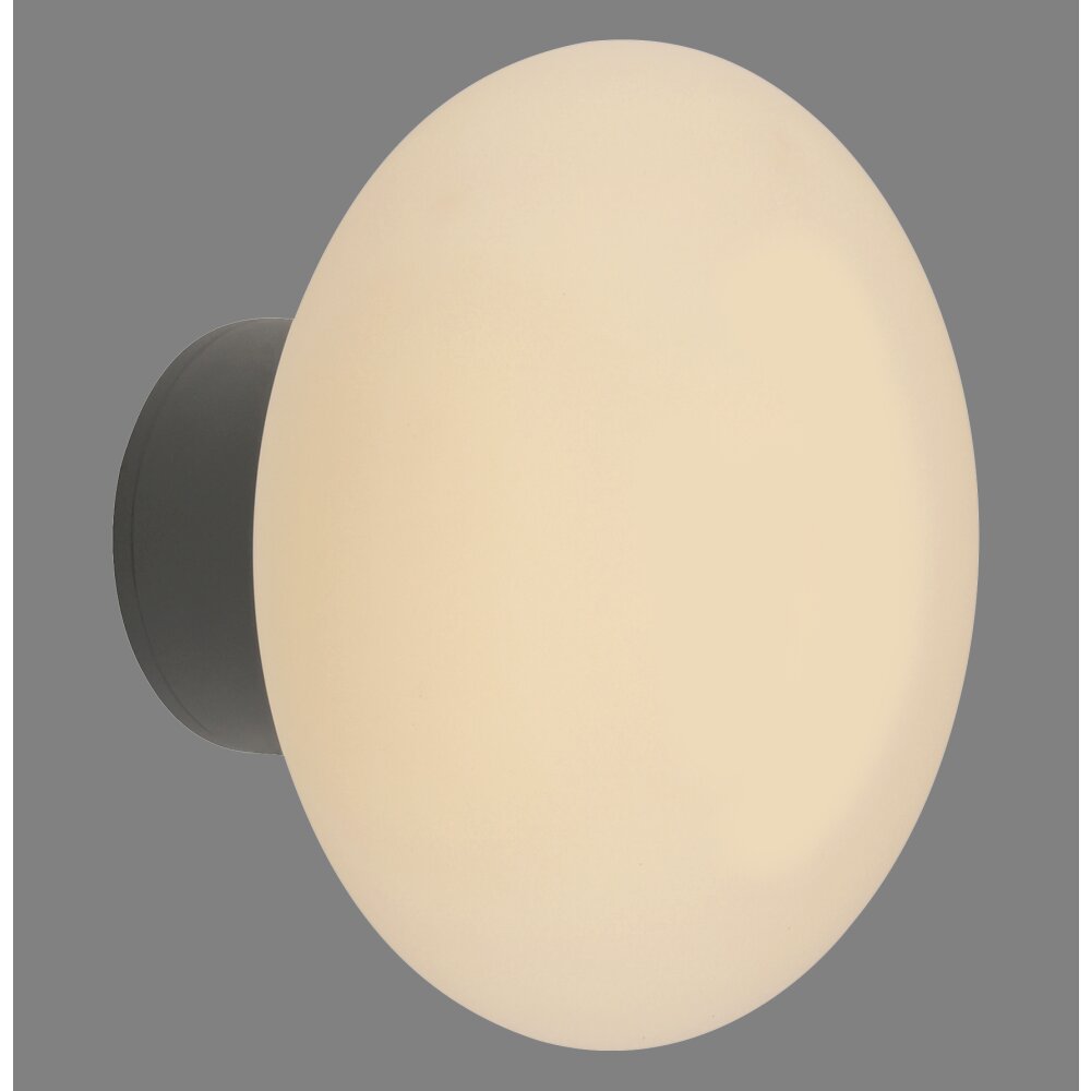 Paul Neuhaus Olaf Wand- und Deckenleuchte LED Grau, 1-flammig main product photo