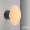 Paul Neuhaus Olaf Wand- und Deckenleuchte LED Grau, 1-flammig