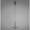 Paul Neuhaus PURE Vitrum Pendelleuchte LED Grau, 2-flammig