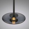 Paul Neuhaus PURE Vitrum Pendelleuchte LED Grau, 2-flammig