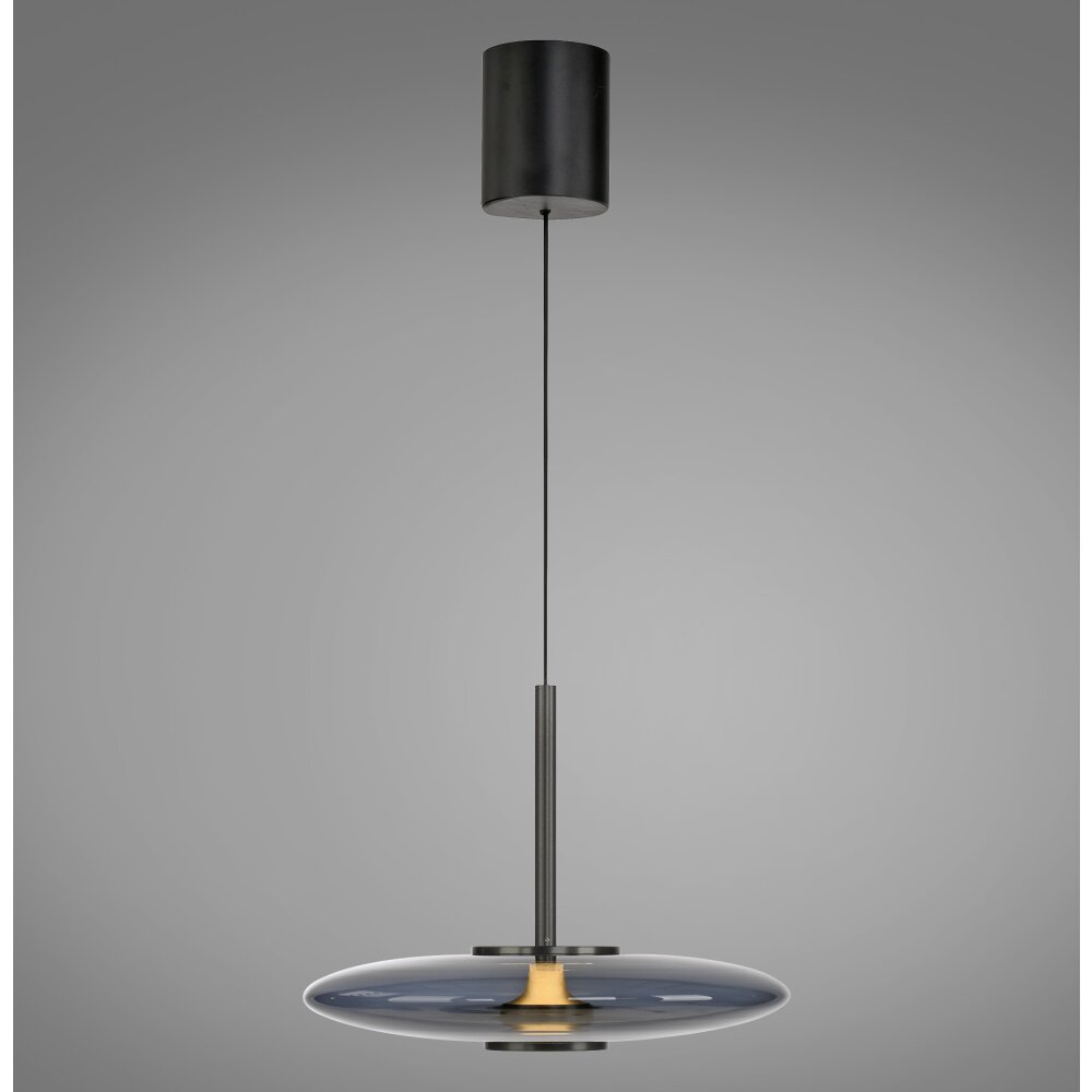 Paul Neuhaus PURE E-Vitrum Pendelleuchte LED Grau, 2-flammig, Fernbedienung main product photo
