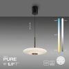 Paul Neuhaus PURE E-Vitrum Pendelleuchte LED Braun, 2-flammig, Fernbedienung