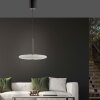 Paul Neuhaus PURE E-Vitrum Pendelleuchte LED Braun, 2-flammig, Fernbedienung