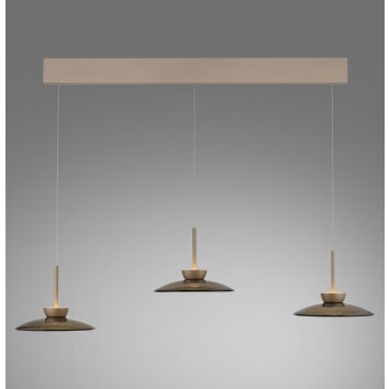 Paul Neuhaus PURE Moon Pendelleuchte LED Bronze, 6-flammig