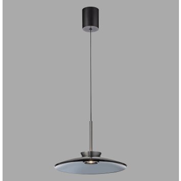 Paul Neuhaus PURE E-Moon Pendelleuchte LED Grau, 2-flammig, Fernbedienung