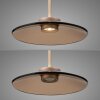 Paul Neuhaus PURE E-Moon Pendelleuchte LED Bronze, 2-flammig, Fernbedienung