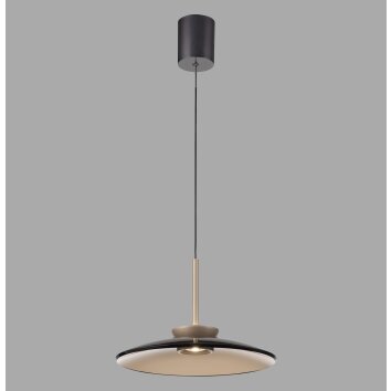 Paul Neuhaus PURE E-Moon Pendelleuchte LED Bronze, 2-flammig, Fernbedienung