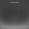 Paul Neuhaus PURE Surface Pendelleuchte LED Bronze, 1-flammig