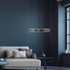 Paul Neuhaus PURE E-Loop Pendelleuchte LED Grau, 2-flammig, Fernbedienung