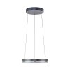 Paul Neuhaus PURE E-Loop Pendelleuchte LED Grau, 2-flammig, Fernbedienung