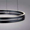 Paul Neuhaus PURE E-Loop Pendelleuchte LED Grau, 2-flammig, Fernbedienung