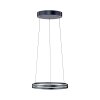 Paul Neuhaus PURE E-Loop Pendelleuchte LED Grau, 2-flammig, Fernbedienung