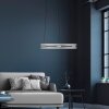Paul Neuhaus PURE E-Loop Pendelleuchte LED Silber, 2-flammig, Fernbedienung