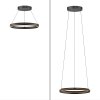 Paul Neuhaus PURE E-Loop Pendelleuchte LED Schwarz, 2-flammig, Fernbedienung