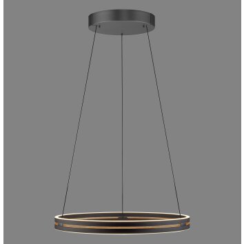 Paul Neuhaus PURE E-Loop Pendelleuchte LED Schwarz, 2-flammig, Fernbedienung