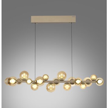 Paul Neuhaus PURE E-Popup Pendelleuchte LED Bronze, 18-flammig, Fernbedienung