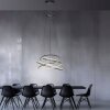 Paul Neuhaus PURE E-Flying Rings Pendelleuchte LED Grau, 1-flammig, Fernbedienung