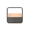 Paul Neuhaus PURE Go Tischleuchte LED Grau, 1-flammig