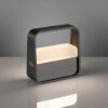Paul Neuhaus PURE Go Tischleuchte LED Grau, 1-flammig