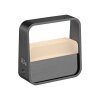 Paul Neuhaus PURE Go Tischleuchte LED Grau, 1-flammig