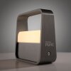 Paul Neuhaus PURE Go Tischleuchte LED Grau, 1-flammig
