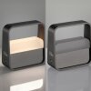 Paul Neuhaus PURE Go Tischleuchte LED Grau, 1-flammig