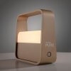 Paul Neuhaus PURE Go Tischleuchte LED Bronze, 1-flammig