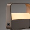 Paul Neuhaus PURE Go Tischleuchte LED Bronze, 1-flammig