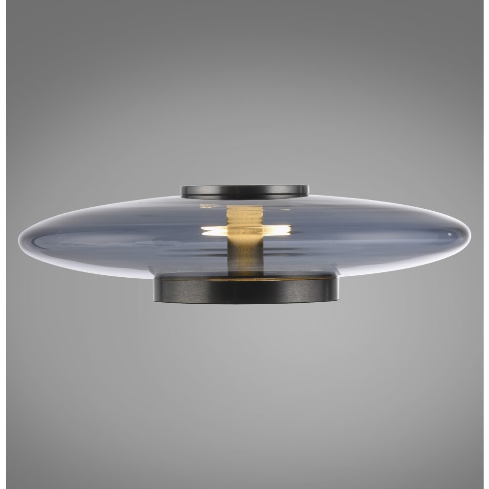 Paul Neuhaus PURE Vitrum Tischleuchte LED Grau, 1-flammig main product photo