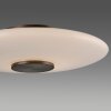 Paul Neuhaus PURE Vitrum Tischleuchte LED Braun, 1-flammig