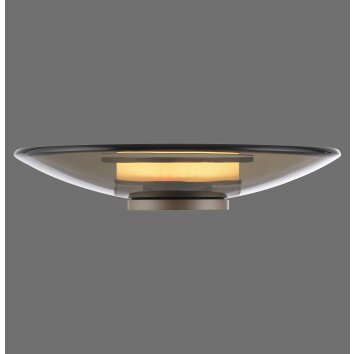 Paul Neuhaus PURE Moon Tischleuchte LED Bronze, 1-flammig