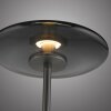 Paul Neuhaus PURE Vitrum Stehleuchte LED Grau, 2-flammig