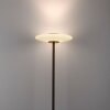 Paul Neuhaus PURE Vitrum Stehleuchte LED Braun, 2-flammig