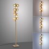 Paul Neuhaus PURE Popup Stehleuchte LED Bronze, 12-flammig