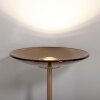 Paul Neuhaus PURE Moon Stehleuchte LED Bronze, 2-flammig