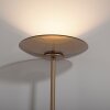 Paul Neuhaus PURE Moon Stehleuchte LED Bronze, 2-flammig