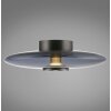 Paul Neuhaus PURE Vitrum Deckenleuchte LED Grau, 2-flammig