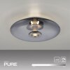 Paul Neuhaus PURE Vitrum Deckenleuchte LED Grau, 2-flammig
