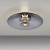 Paul Neuhaus PURE Vitrum Deckenleuchte LED Grau, 2-flammig