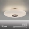 Paul Neuhaus PURE Vitrum Deckenleuchte LED Braun, 2-flammig