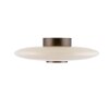 Paul Neuhaus PURE Vitrum Deckenleuchte LED Braun, 2-flammig