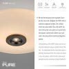 Paul Neuhaus PURE Vitrum Deckenleuchte LED Braun, 2-flammig